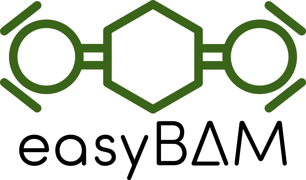 easyBAM Logo